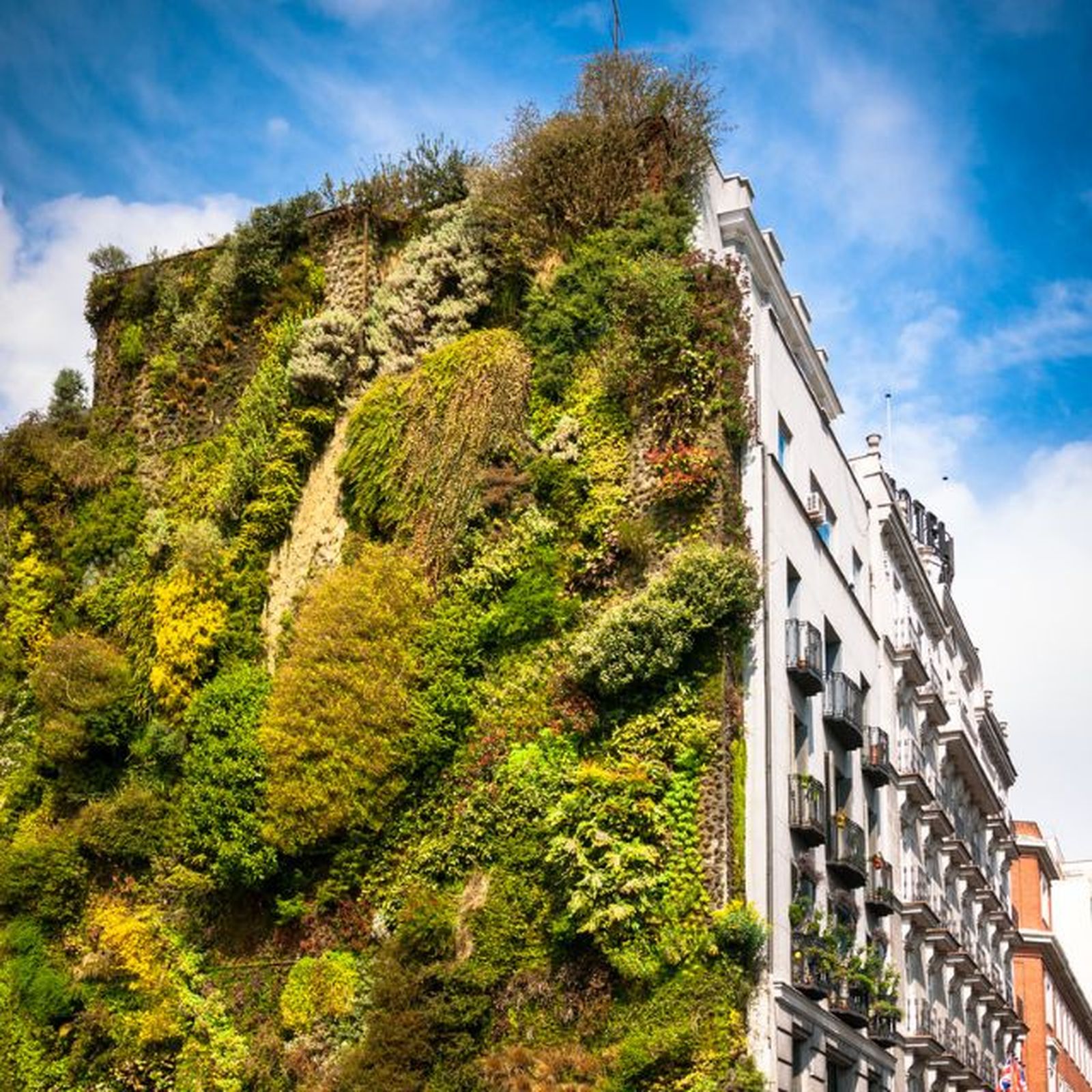 jardin vertical en la calle