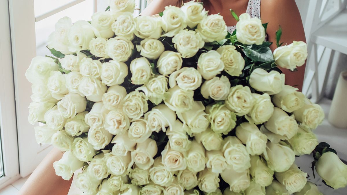 regalar rosas blancas