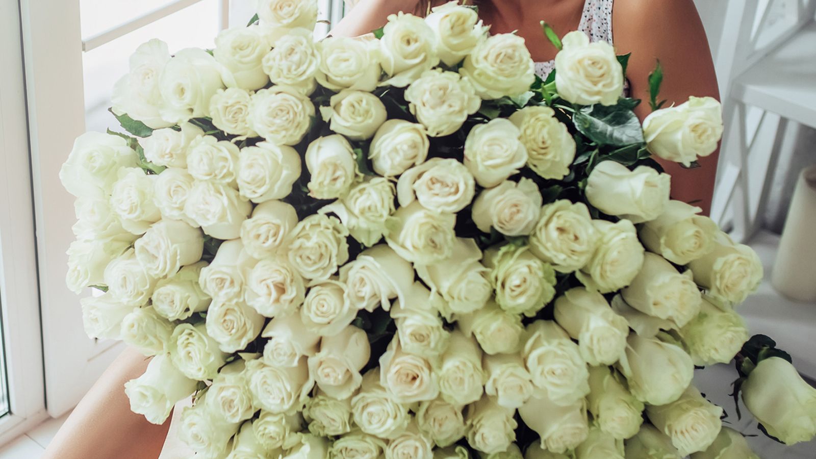 regalar rosas blancas