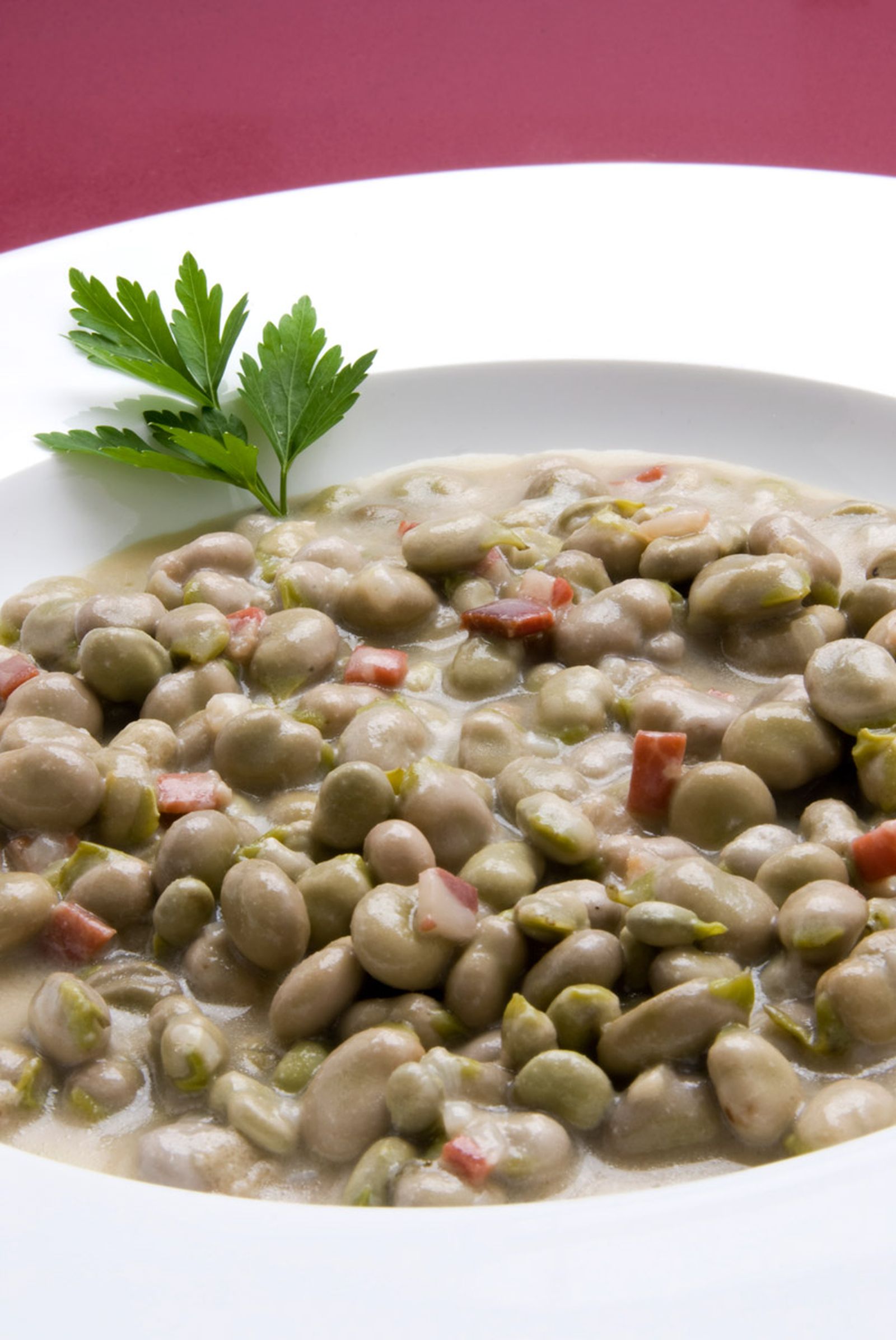 habas jamon estilo granada karlos arguinano xl