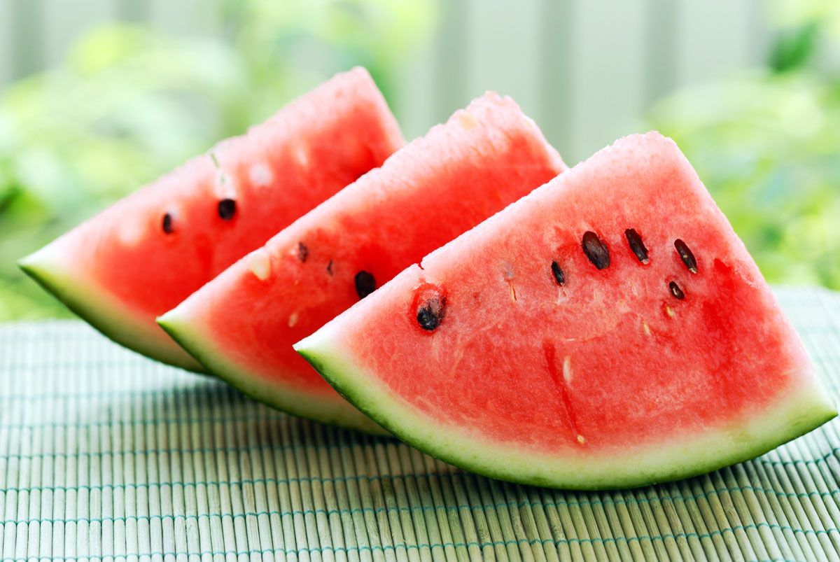 sandia rodajas xl