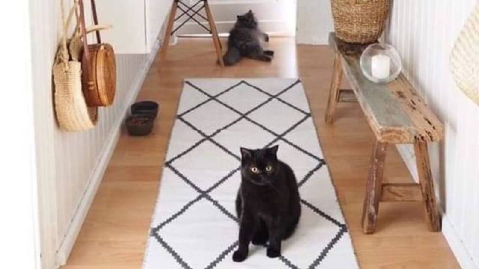 pasillo poca luz madera blanco y negro pinterest hogar diez