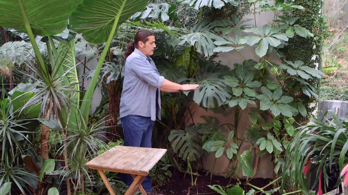 brico 942 3 curiosidades costilla adan inicio