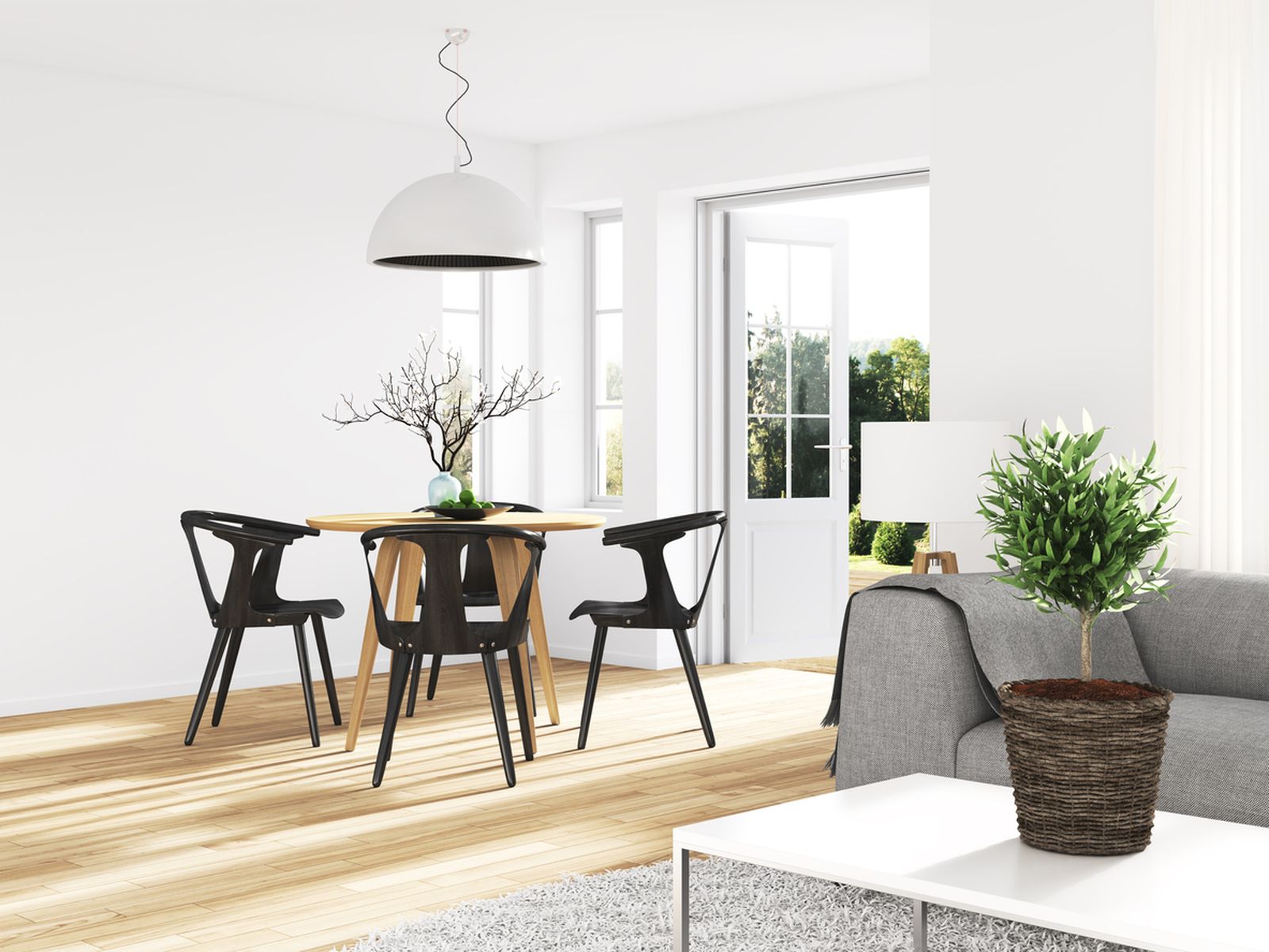 cuidar muebles1