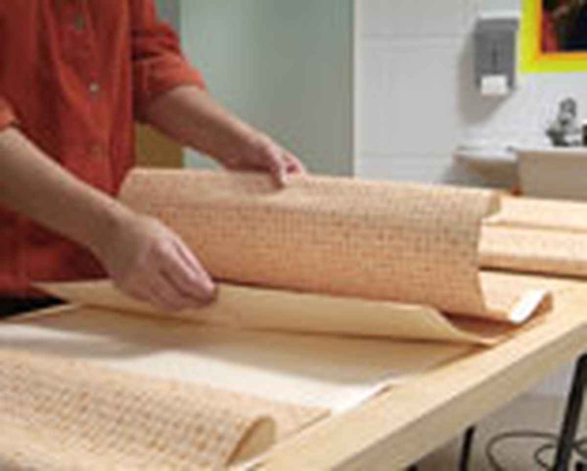 454 emp pap bano p06