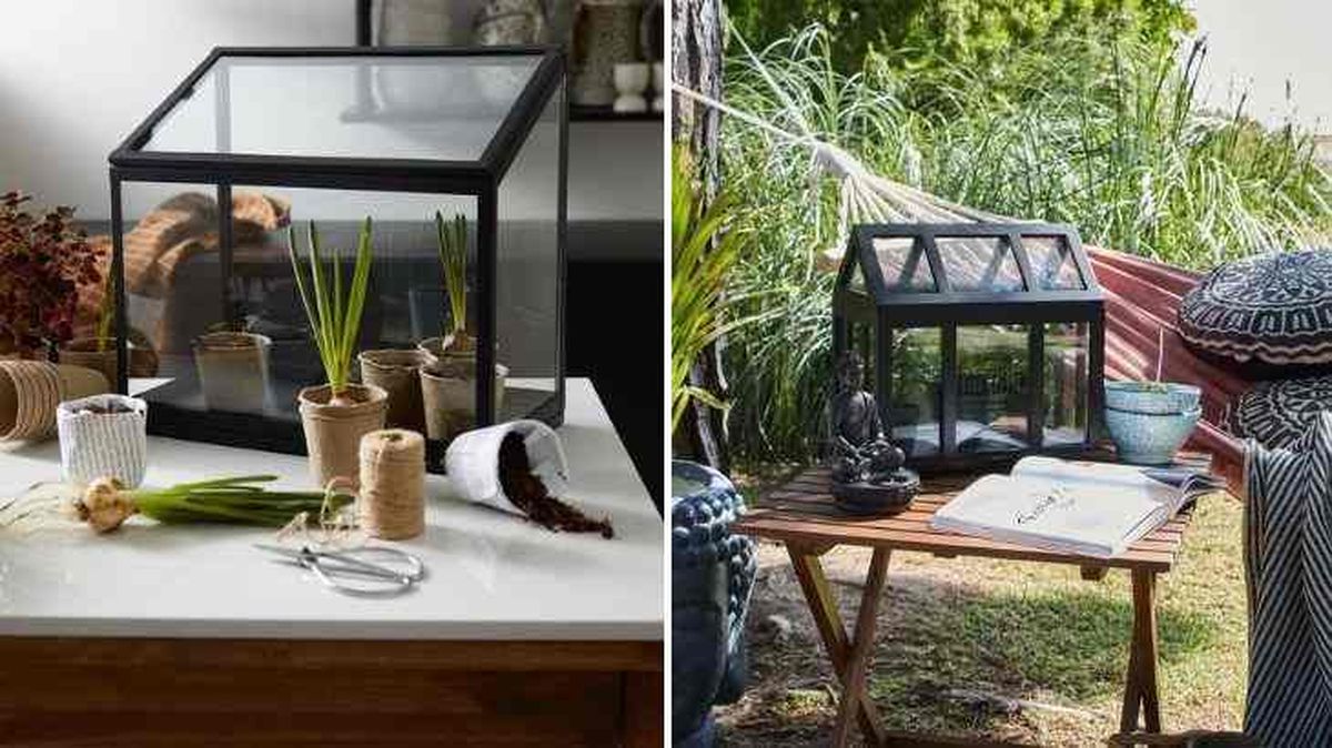 mini invernaderos para el invierno 1