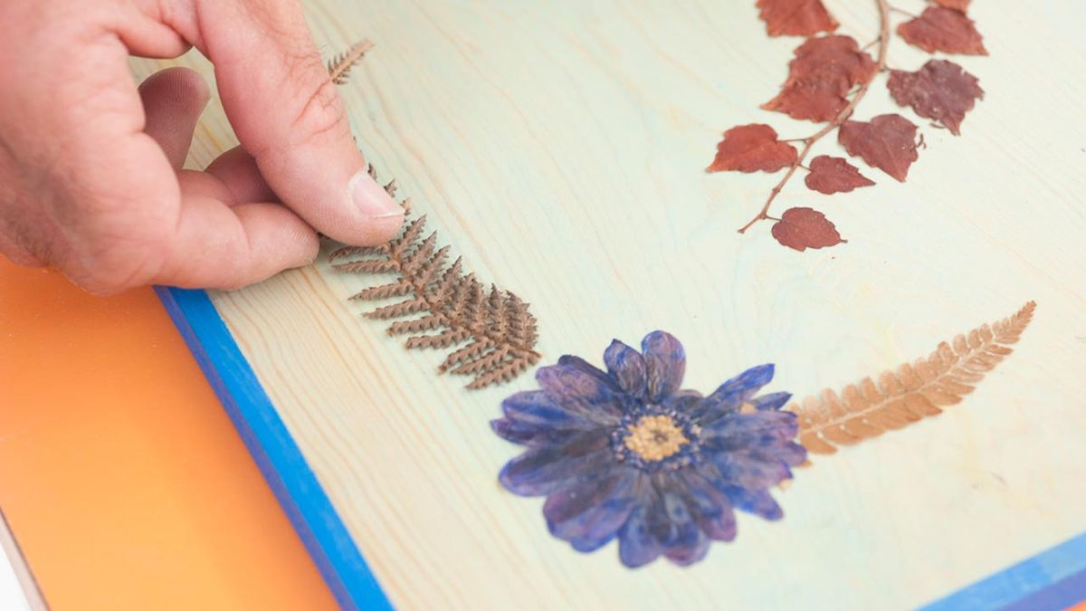 Bricomania Prensa para hojas secas p9