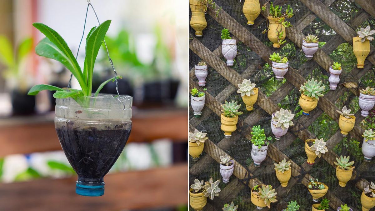 reutilizar botellas de plastico como maceteros