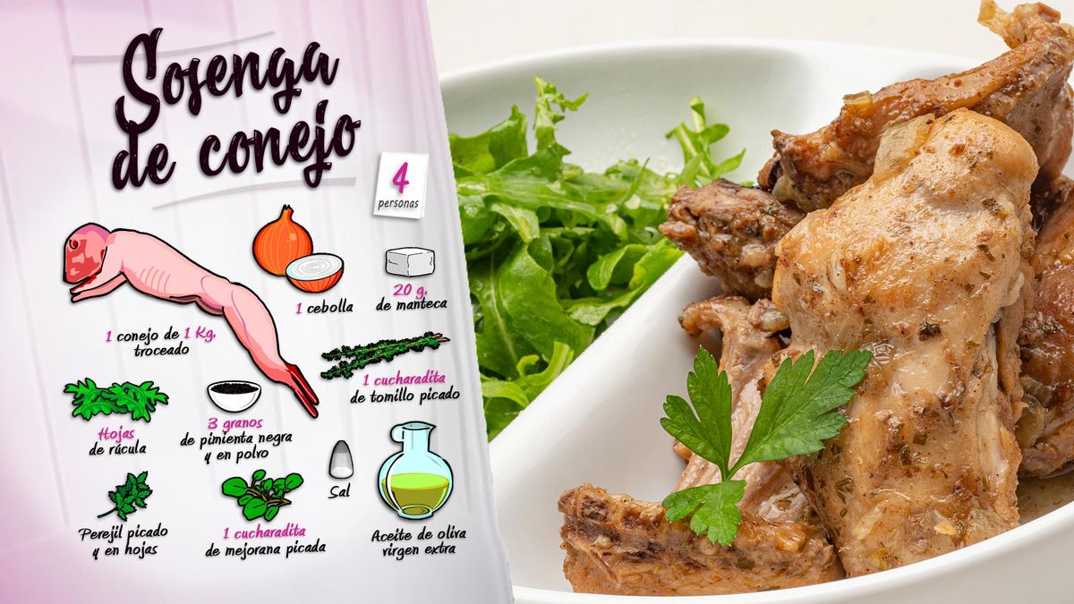 karl6653 sosenga conejo ing1