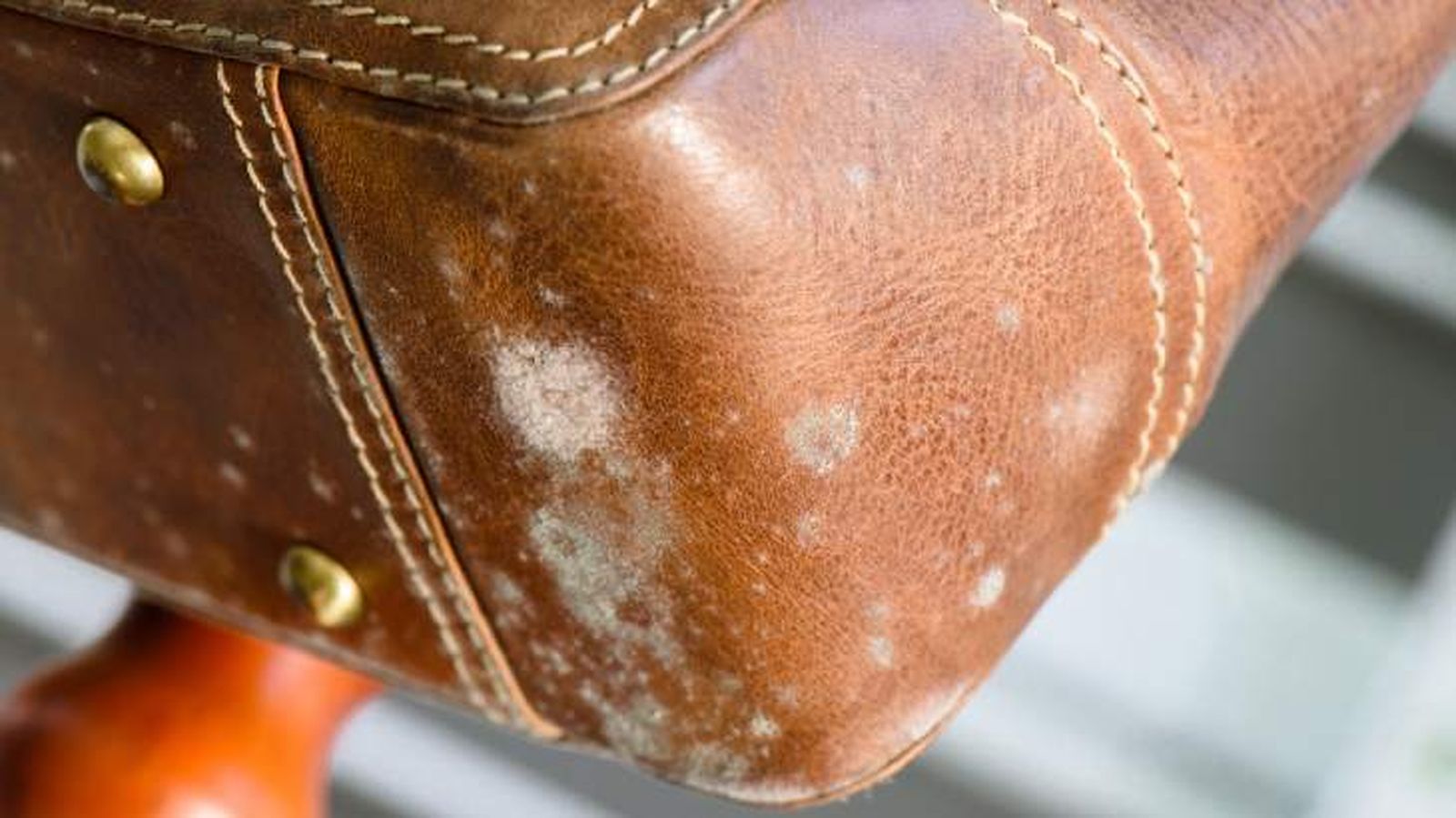 Bolso de cuero con moho