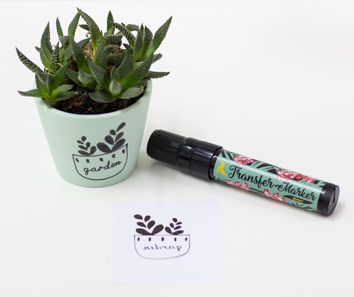 transferencias tecnicas