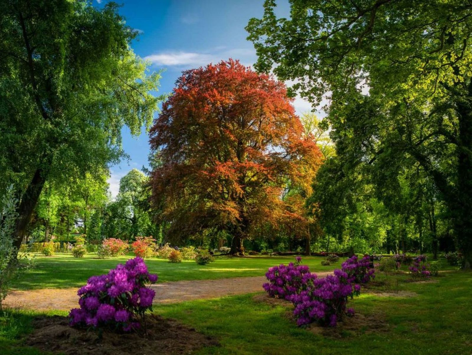 Heart of the Dalkowskie Hills