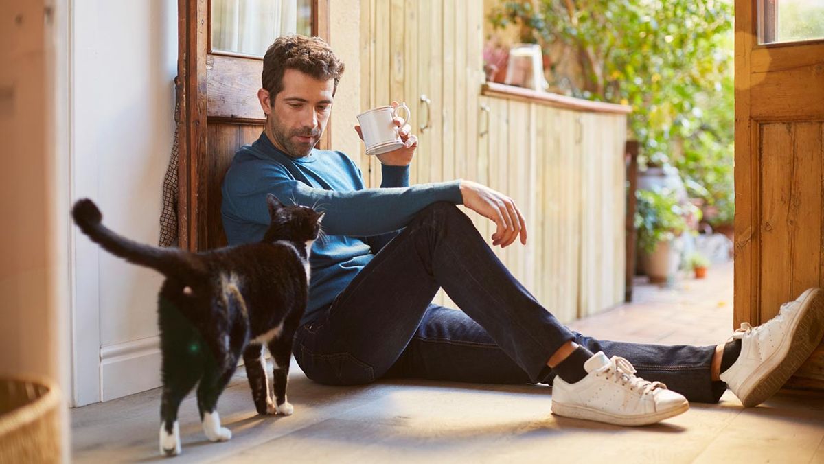 gato me sigue a todas partes portada