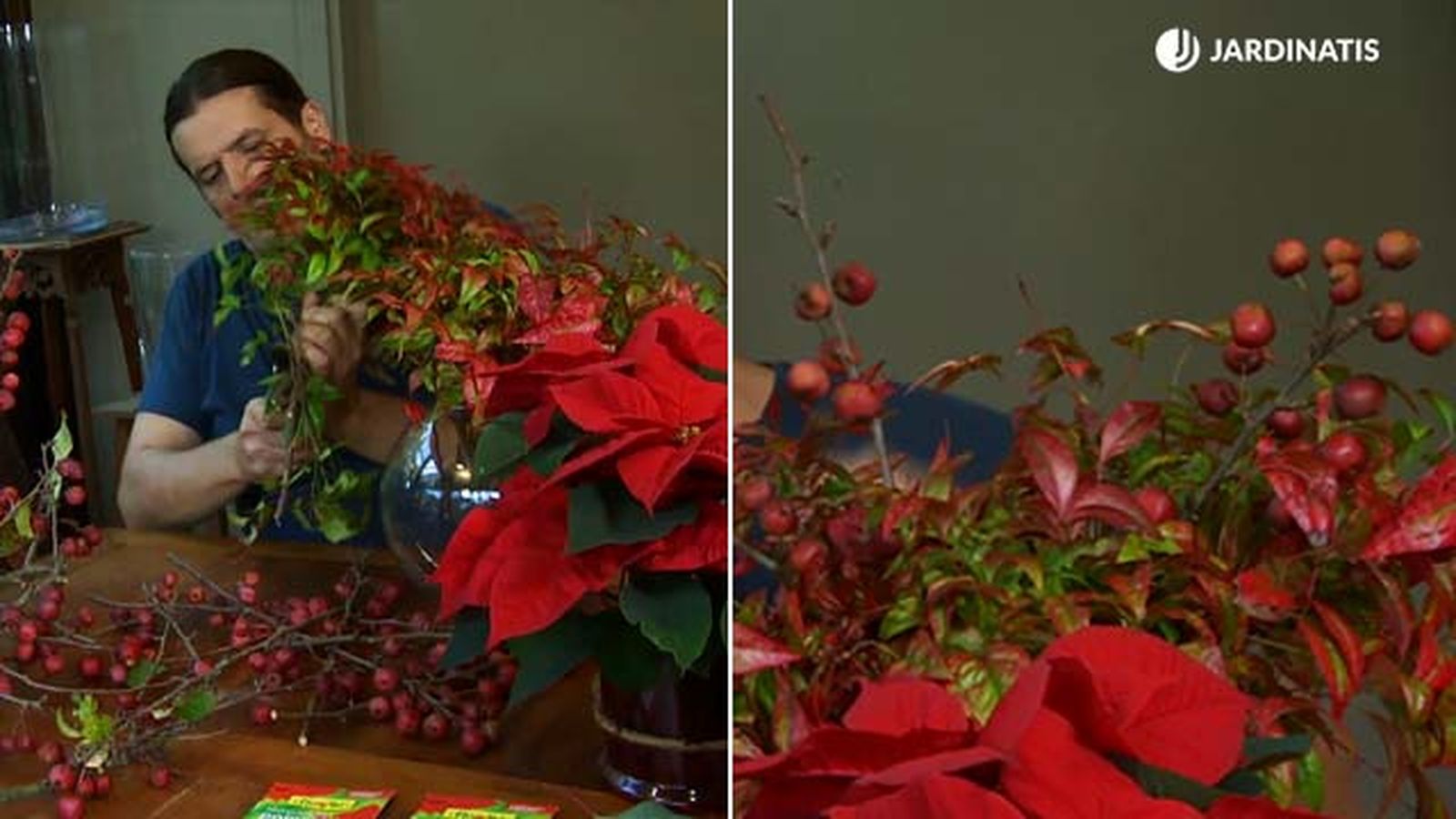 arreglo flora navideno nandina domestica manzano ornamental deco 635 jardinatis