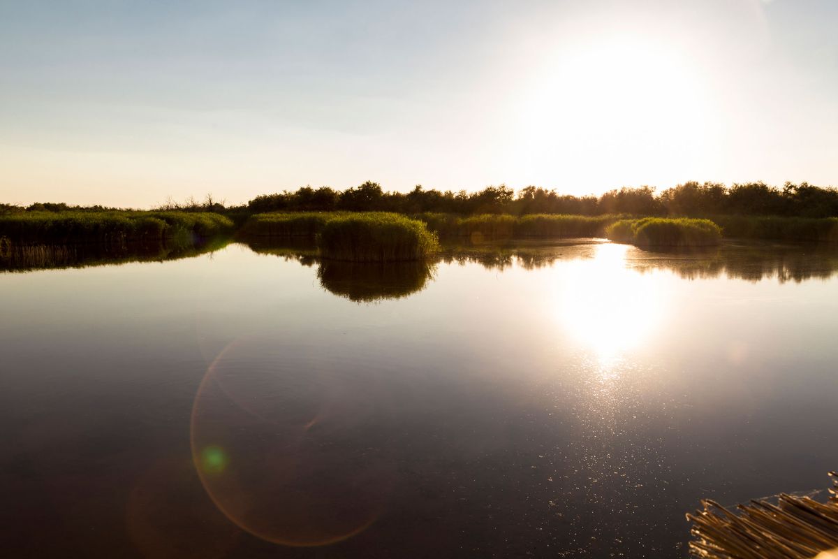 sostenible tablas daimiel