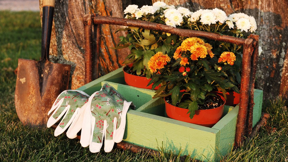 claves mantener jardin cuidado otono