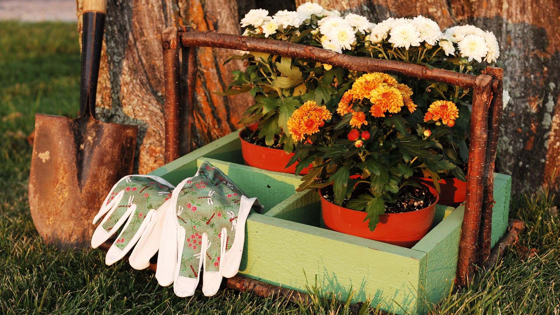 claves mantener jardin cuidado otono