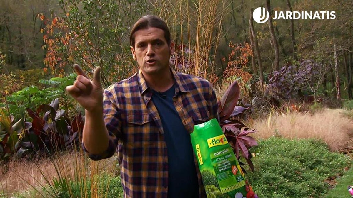 deco 636 abonar cesped en invierno