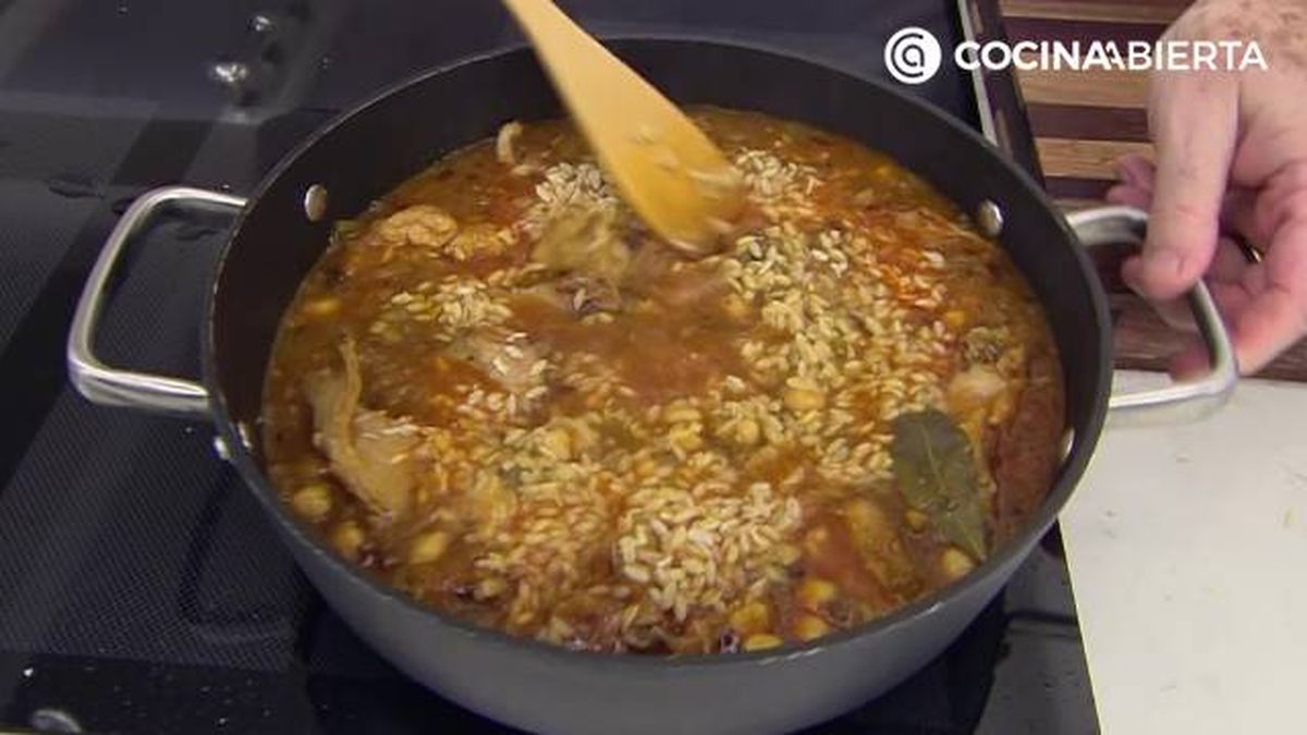 karl7047 gurullos conejo p6