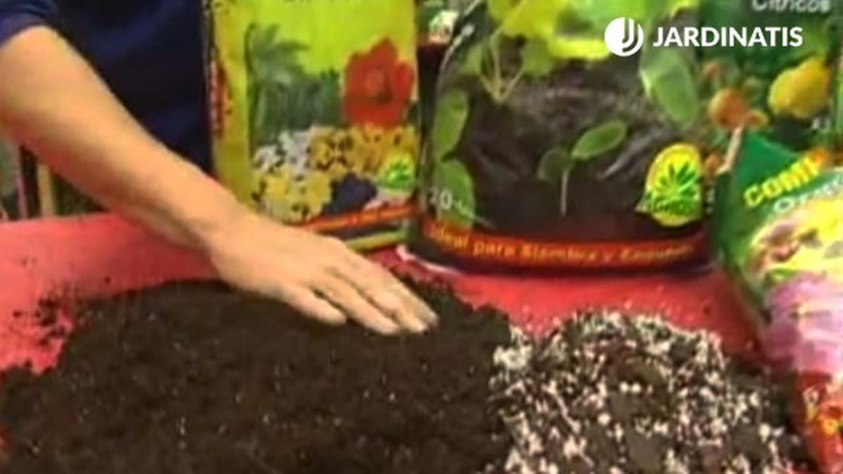 tipos de sustrato para plantas composicion