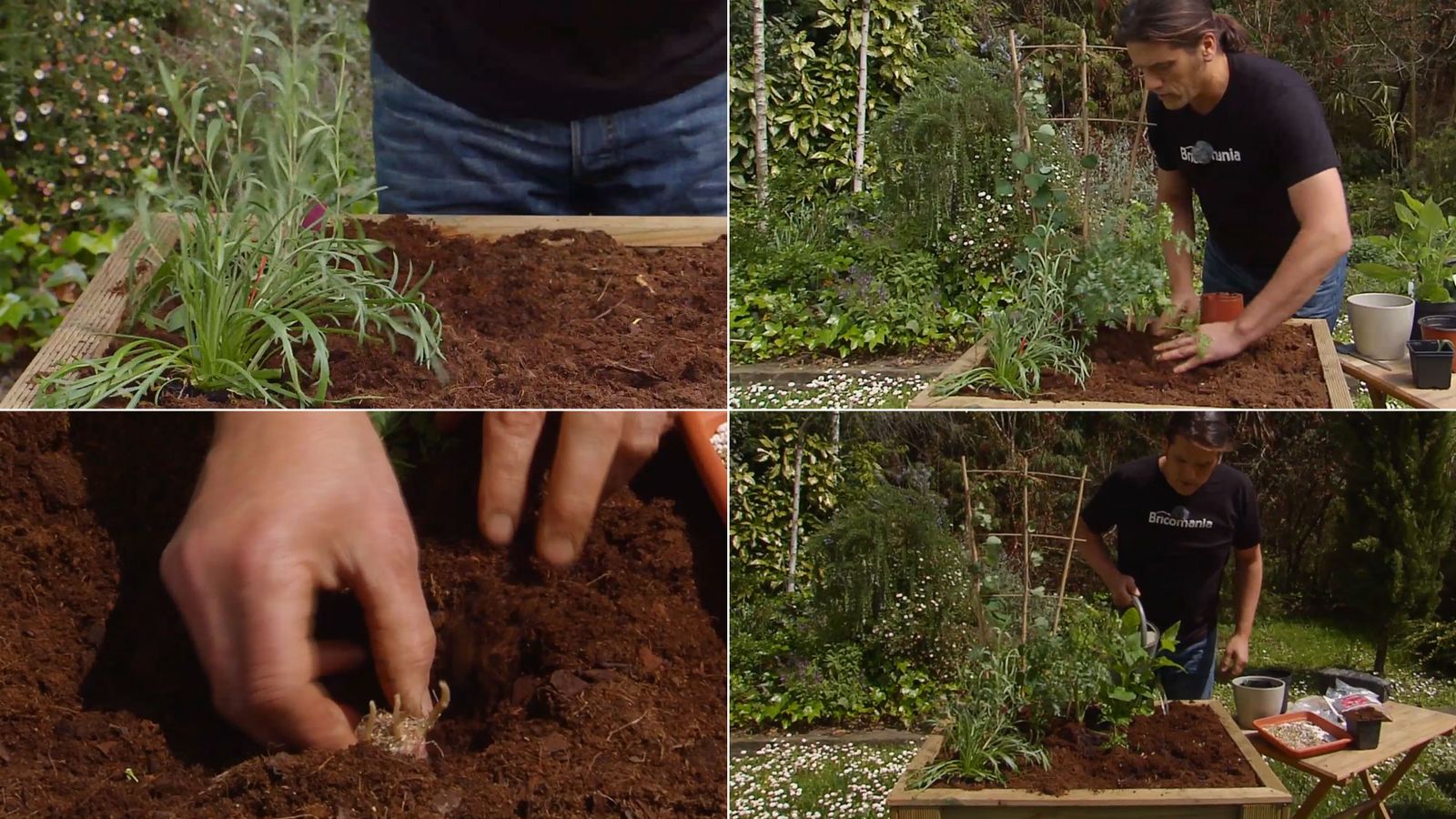 Plantación de verduras atípicas