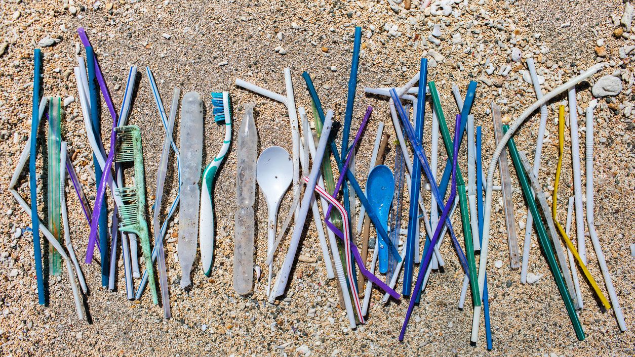 reciclar cepillos