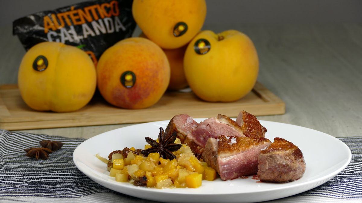 chutney melocoton calanda magret pato xl