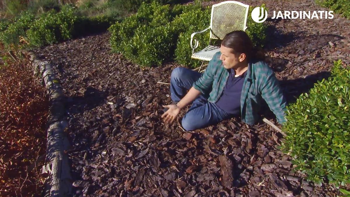 deco 0641 acolchado tipos variedades corteza pino