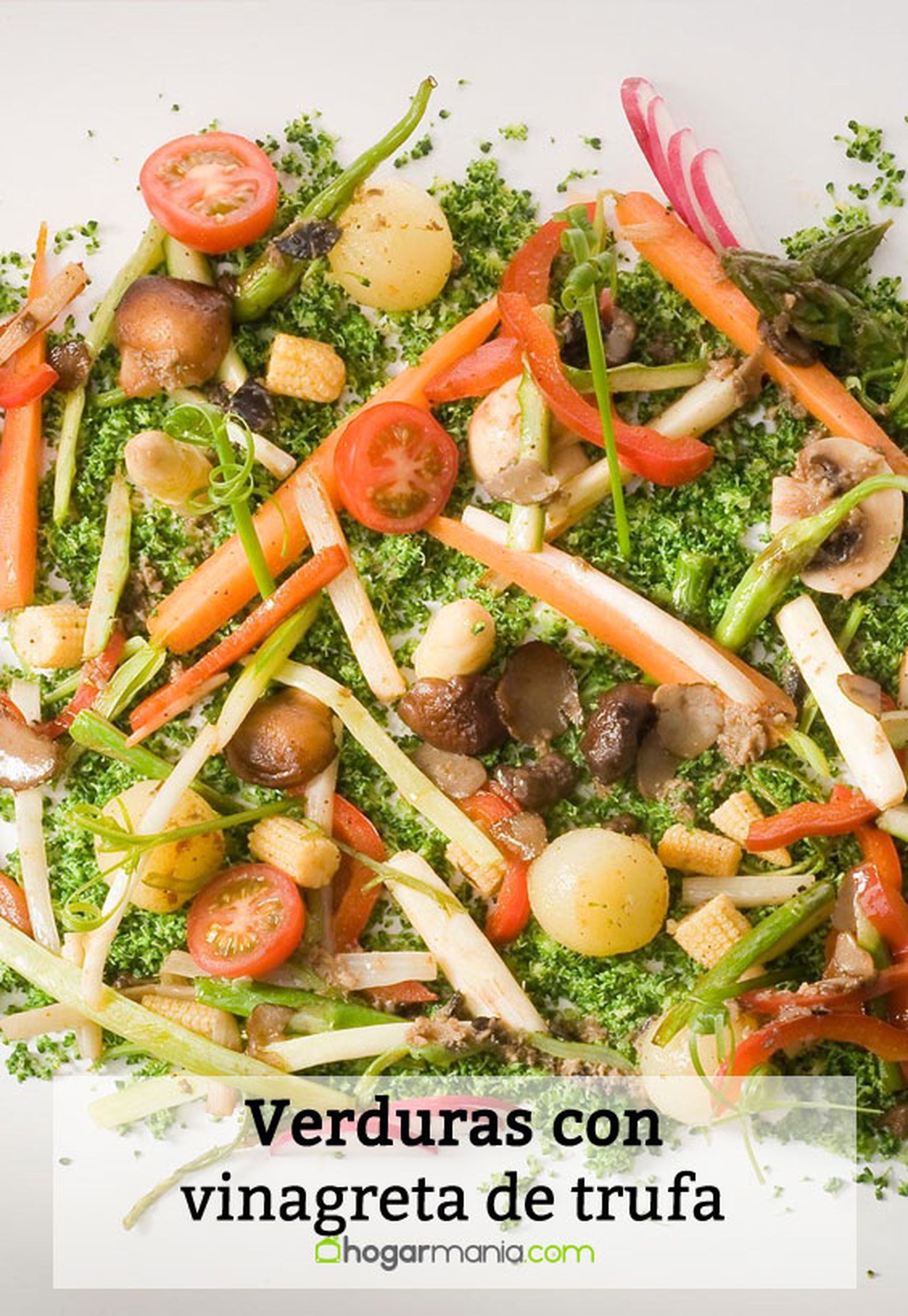 verduras vinagreta trufa pin