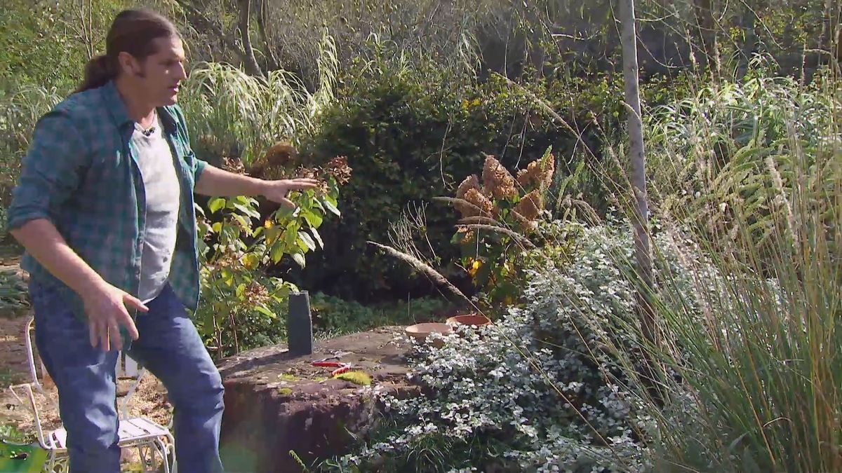 Deko 671 reproduccion helichrysum detalle