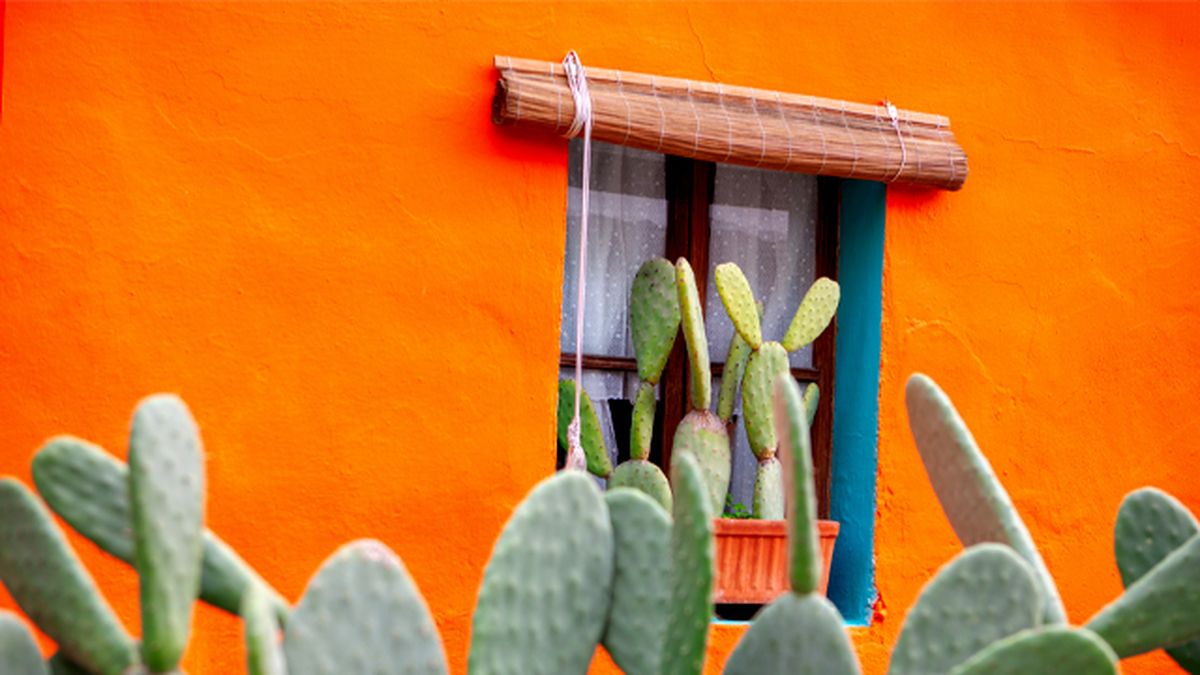 colores para fachadas de casas rusticas 4