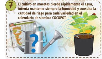 Siembre directa 7