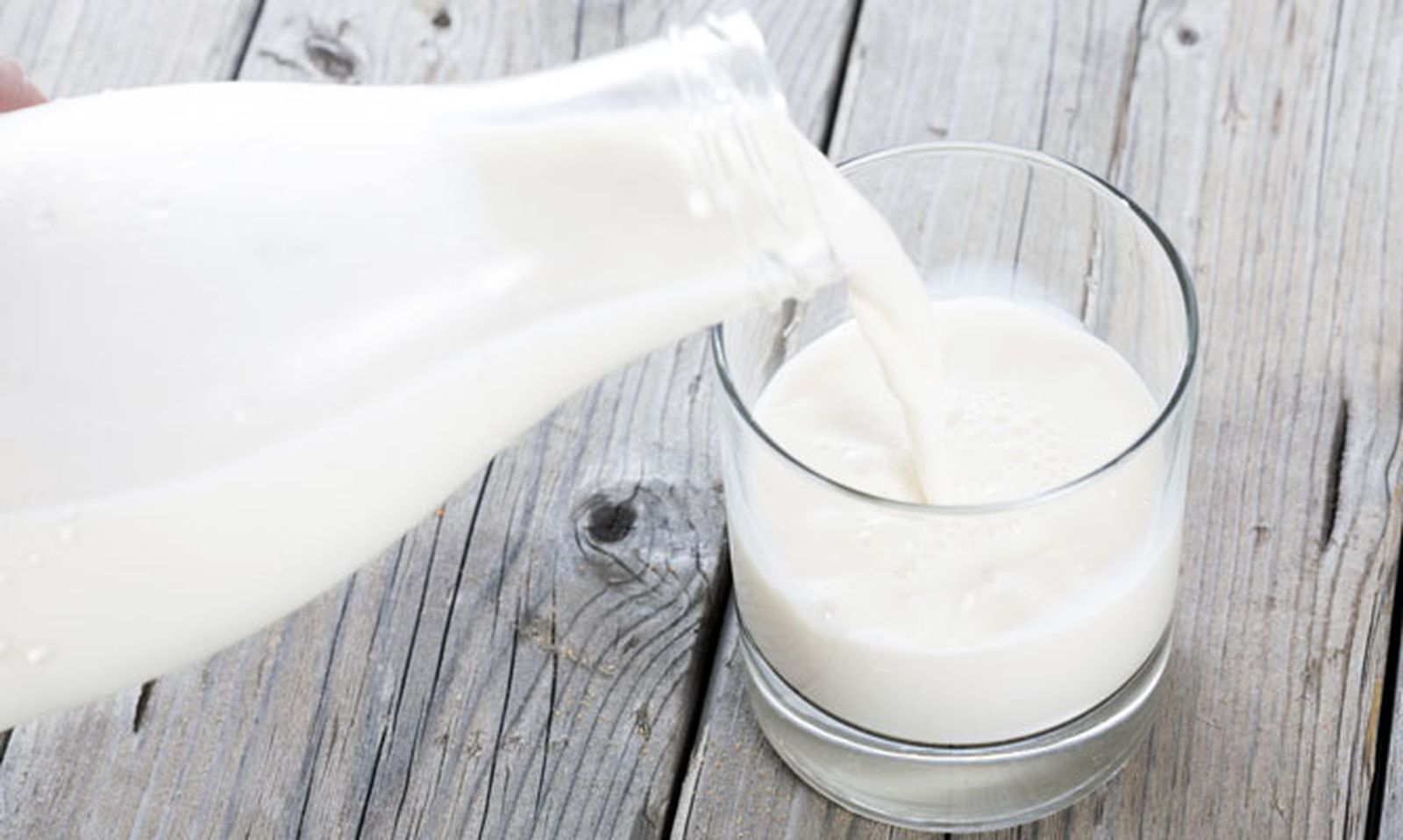 5334 nutricion ainhoa leche xl