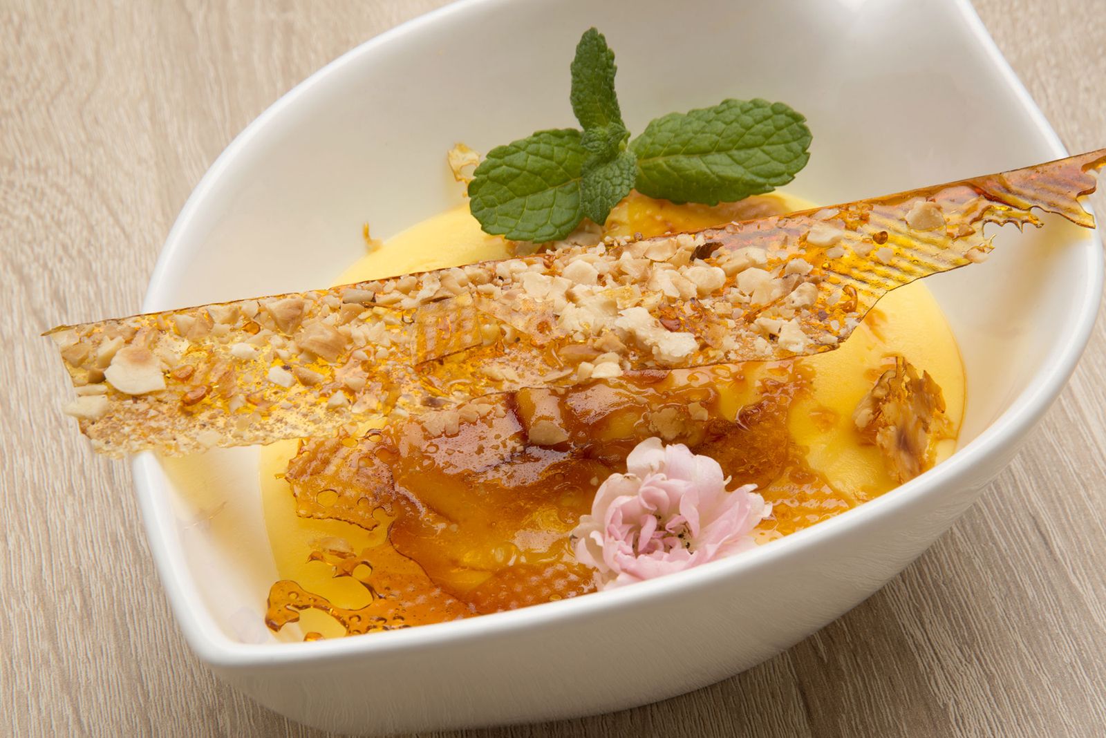 HCTU0328 Crema catalana xl