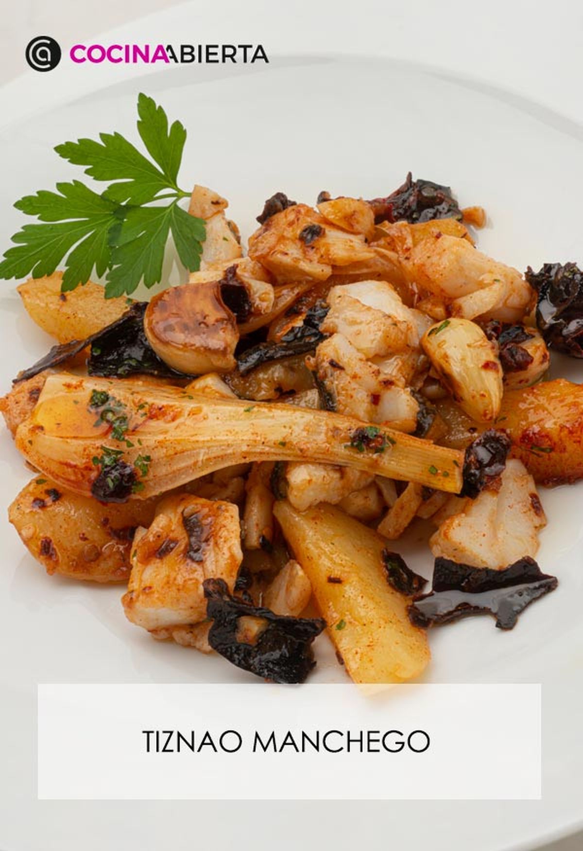 karl6662 tiznao manchego v