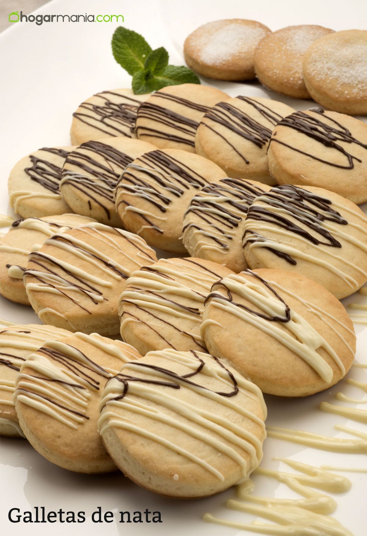 6095 2 Galletas de nata vertical xl