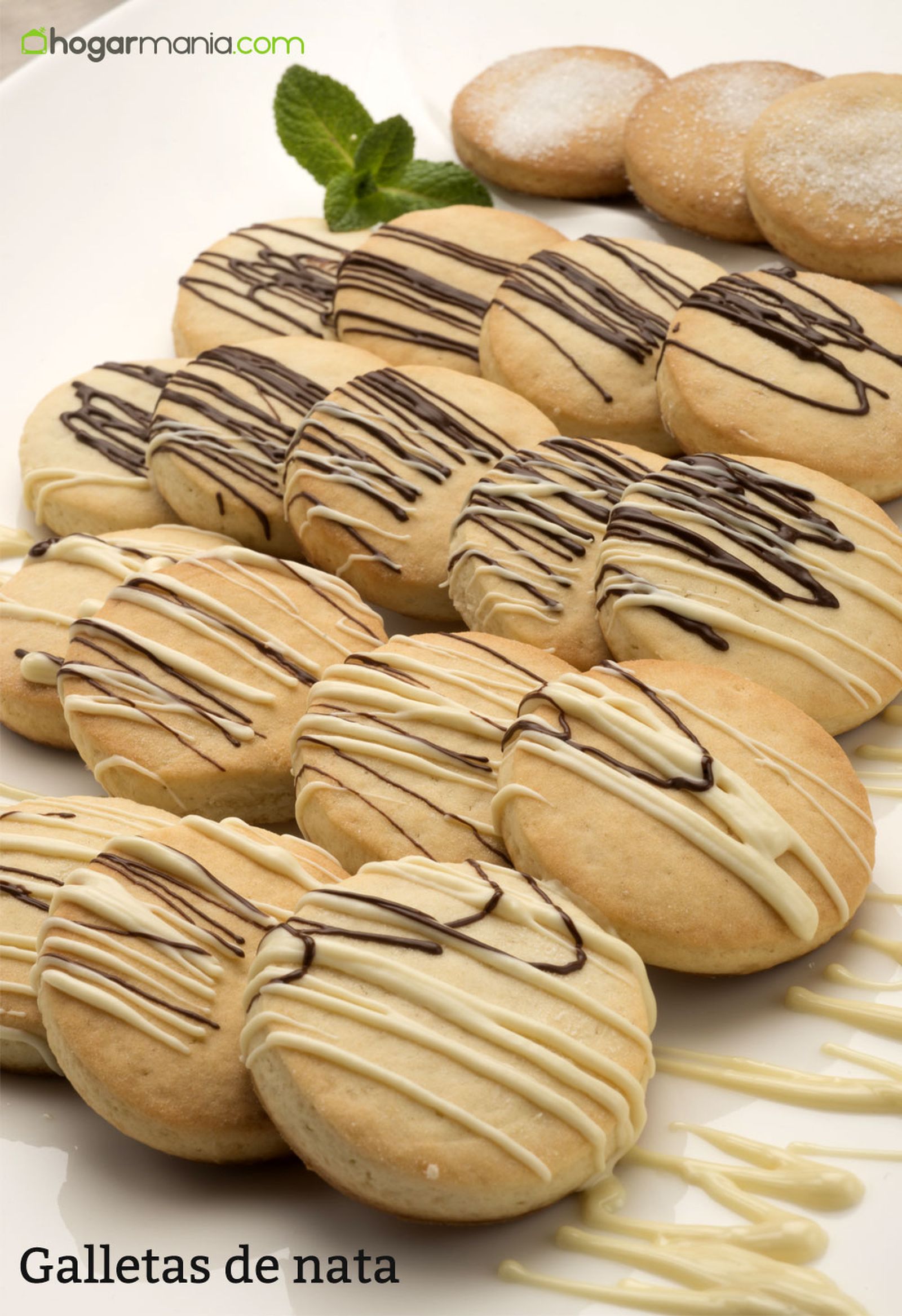 6095 2 Galletas de nata vertical xl