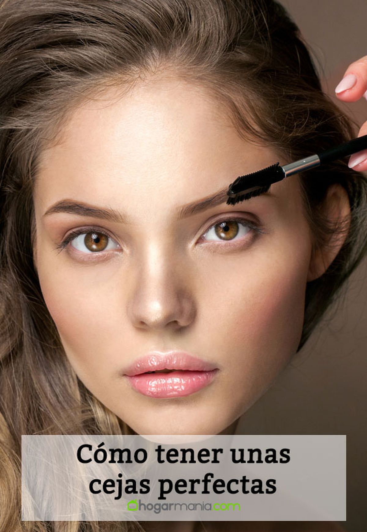 como tener unas cejas perfectas pin