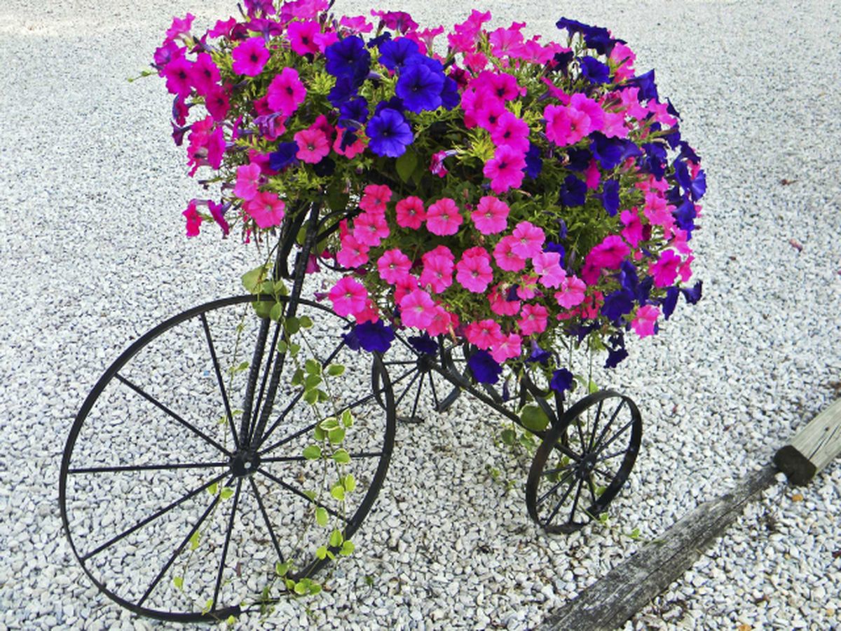Decorar jardines con bicicletas 5