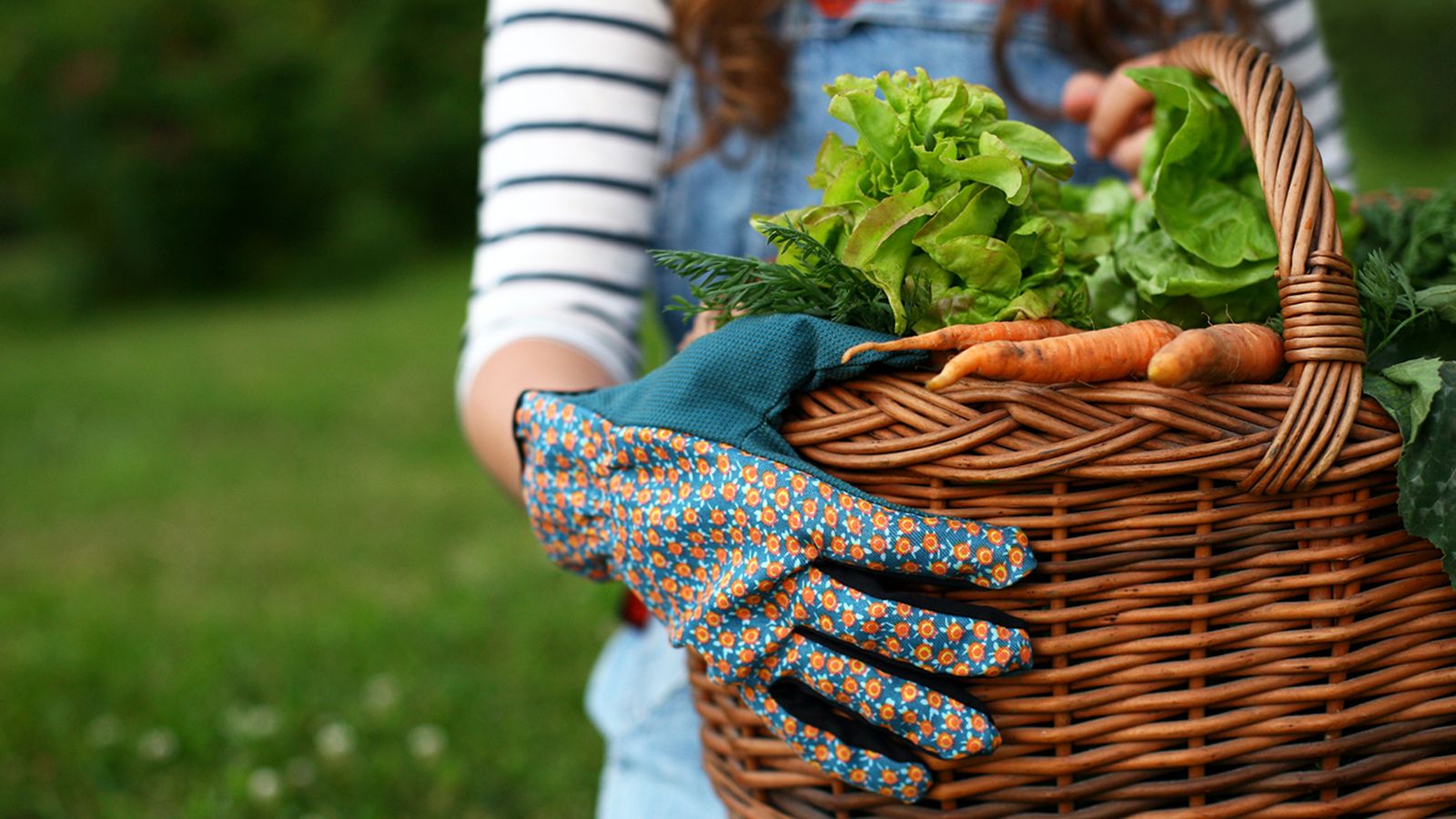 Cosechar la huerta en invierno