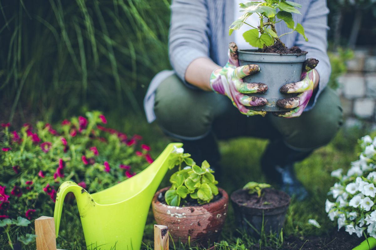 SEGUROLAFB tierra exceso agua
