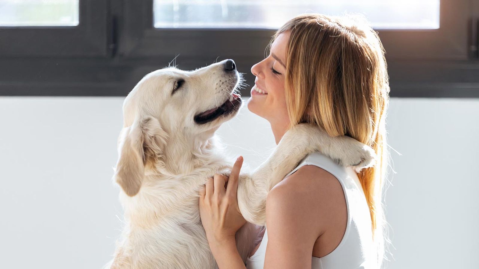 7 razones adoptar perro portada