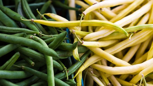 como cultivar judias amarillas en la terraza y propiedades