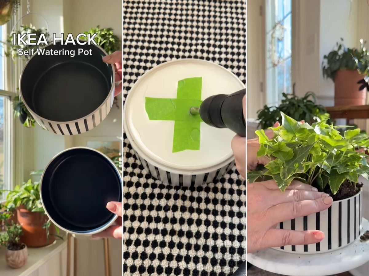 Sistema de riego con cuencos para mascotas.