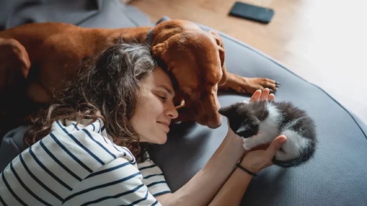 productos pet friendly 2