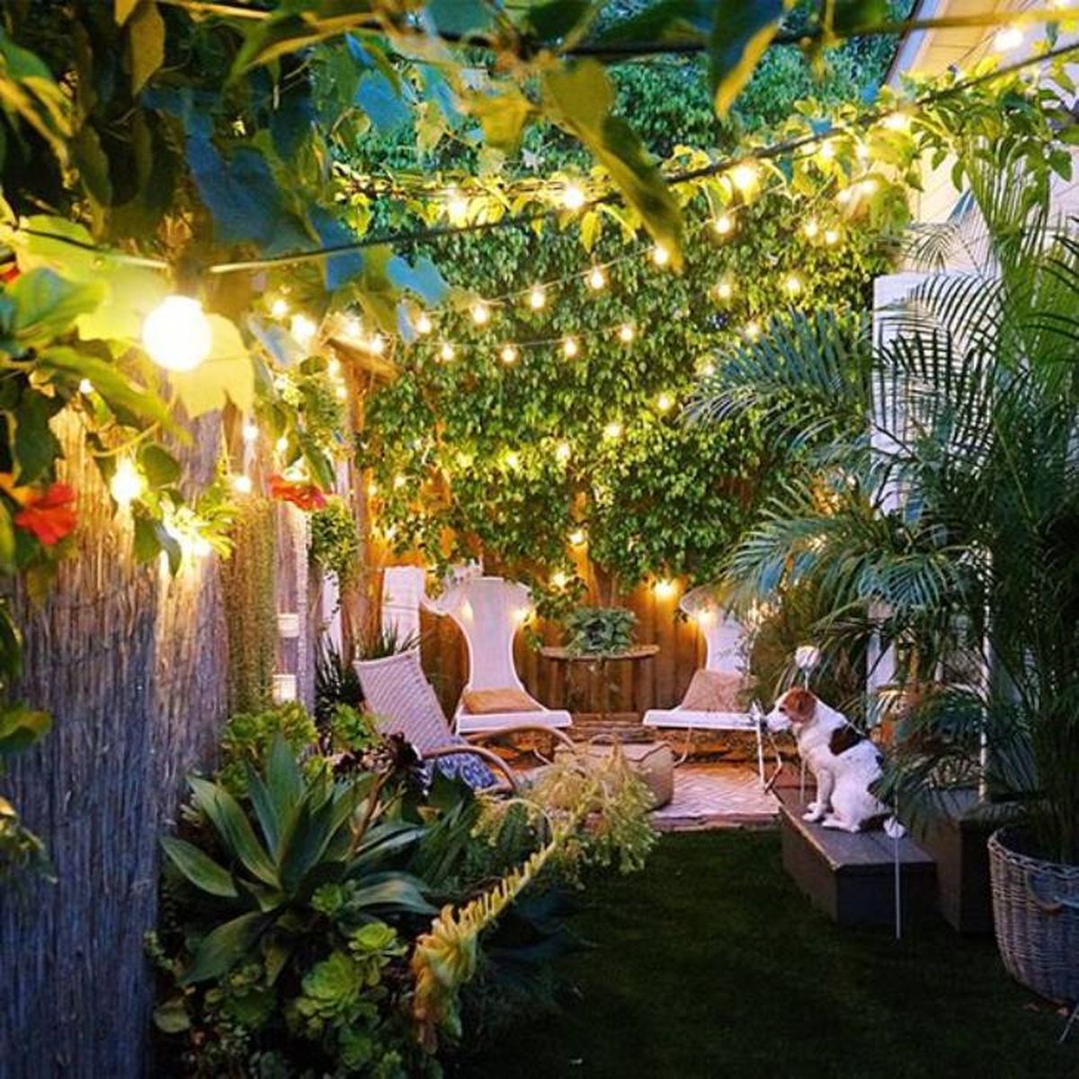 jardin pequeno guirnalda 2