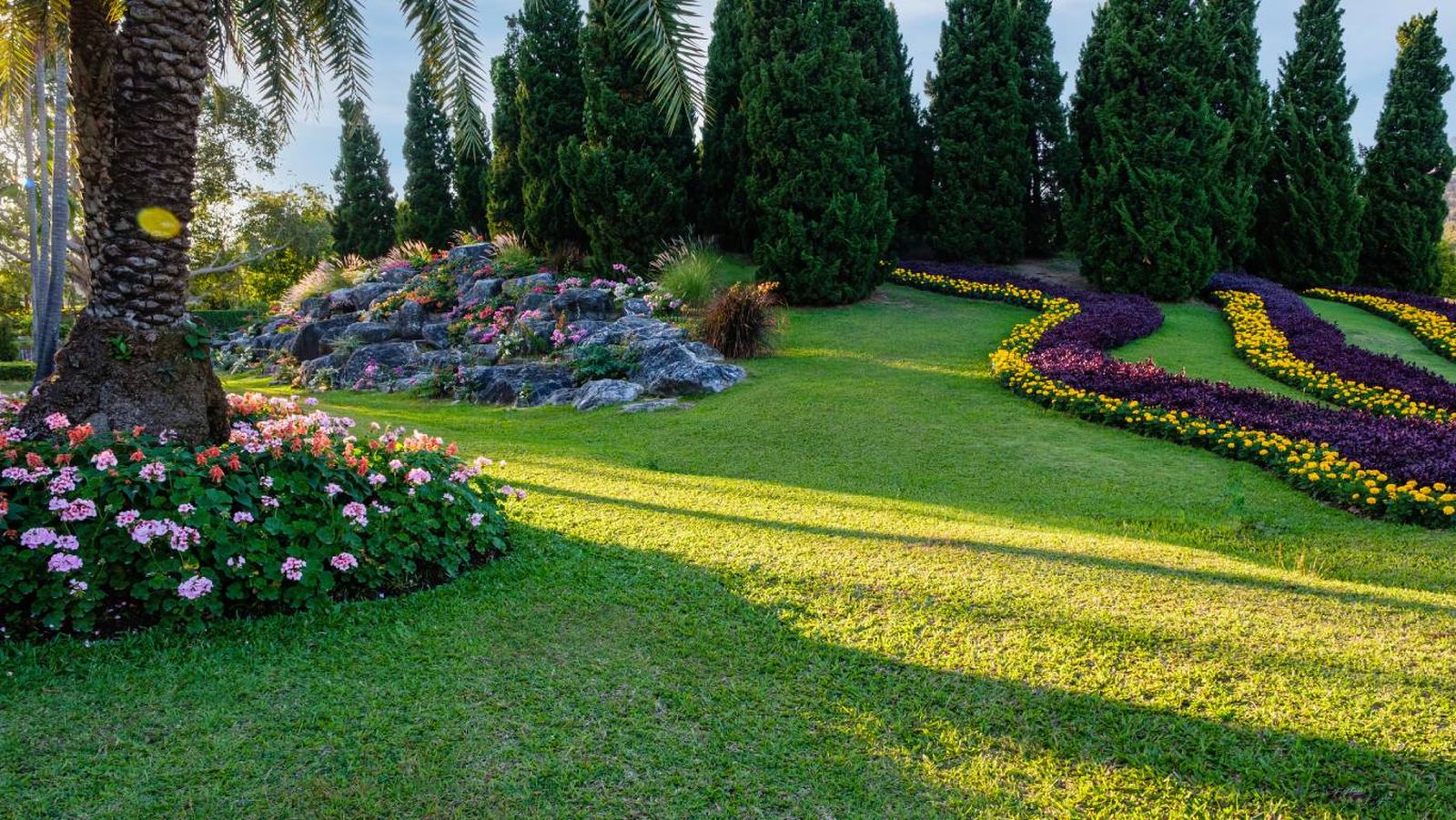 Un césped saludable requiere riego eficiente y prevención de hongos.