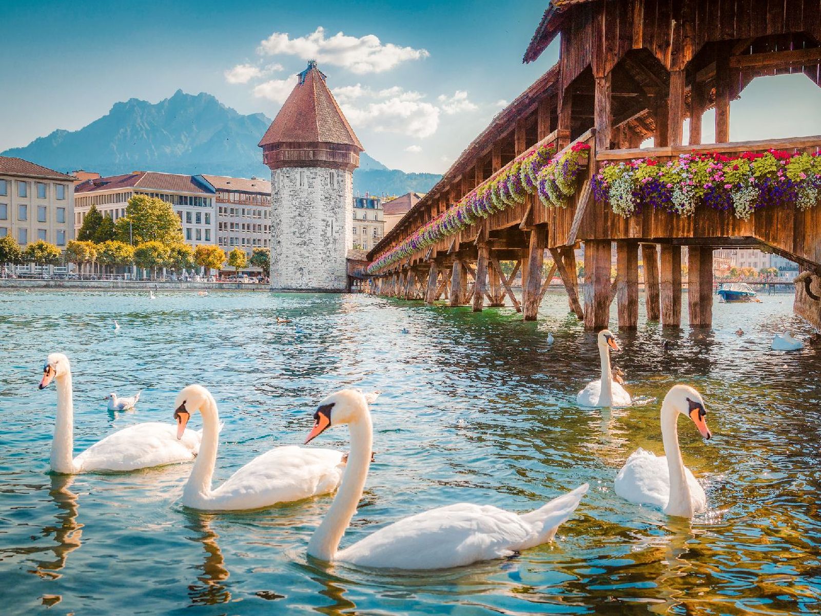 Puente de la Capilla en Lucerna, Suiza