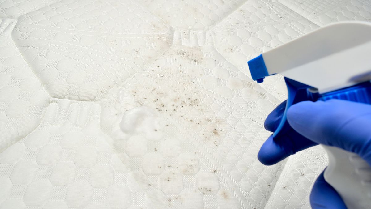 como limpiar el colchon con trucos caseros y economicos2