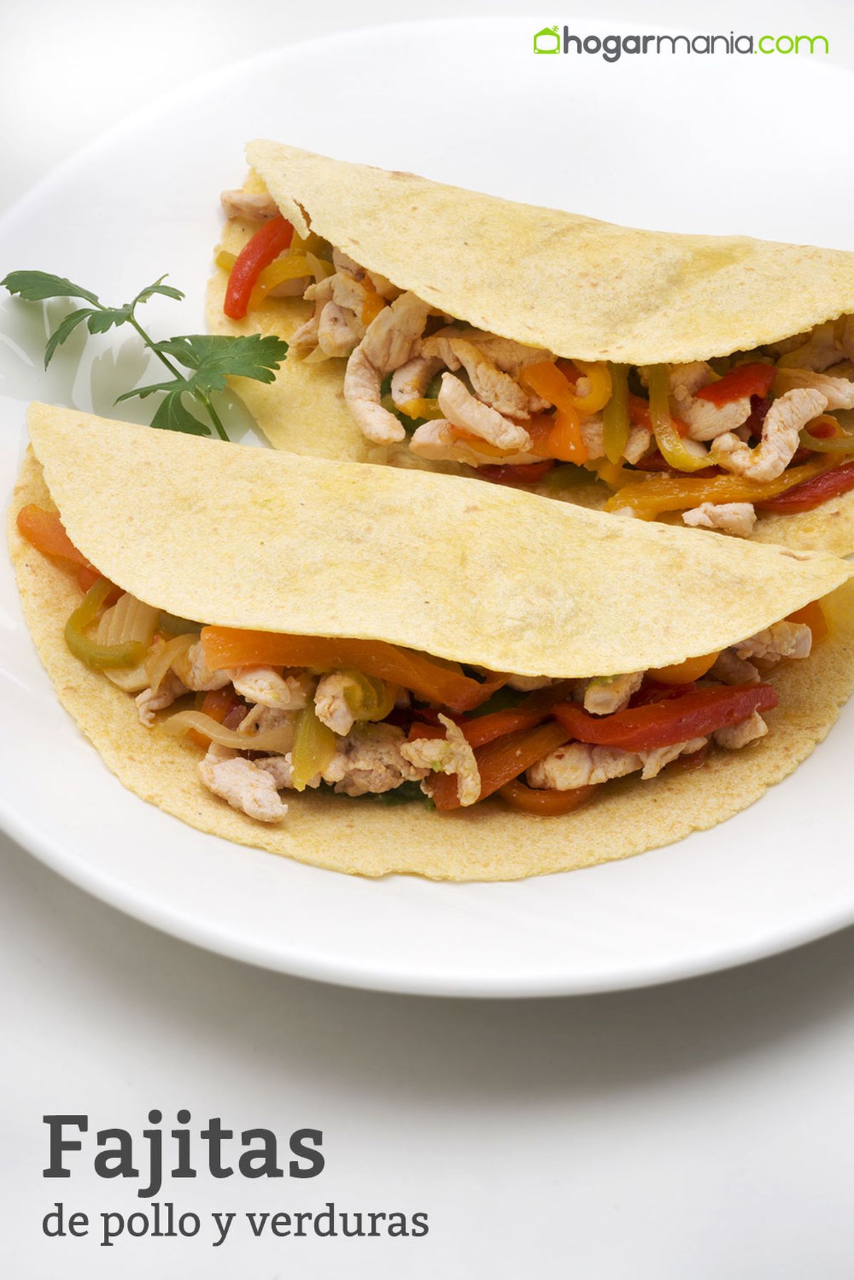 5955 1 Fajitas de pollo y verduras (1341) vertical editorial xl